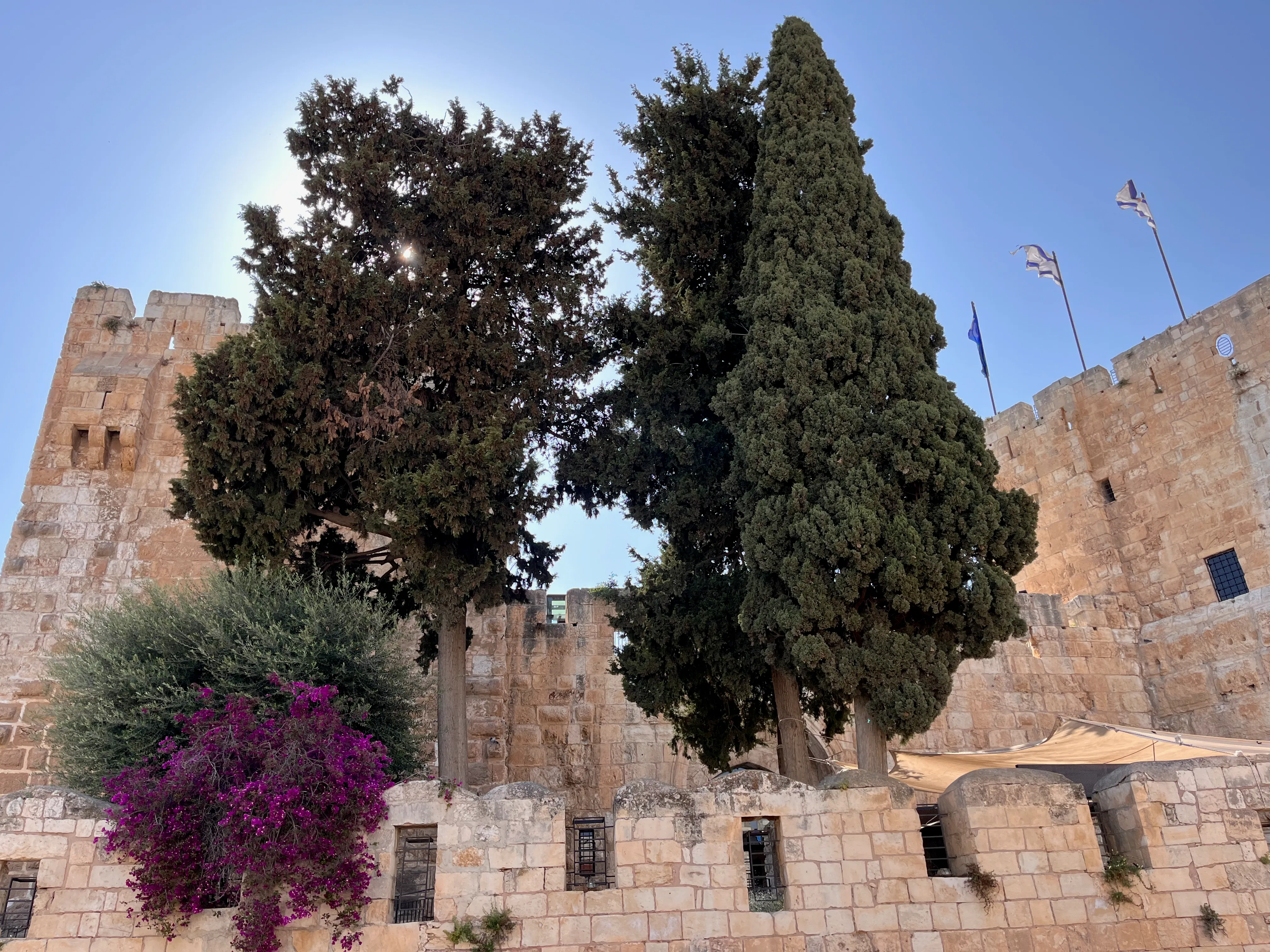King David